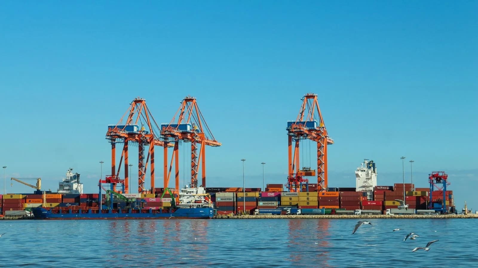 Container cranes and cargo ships at a port: apparel export logistics
